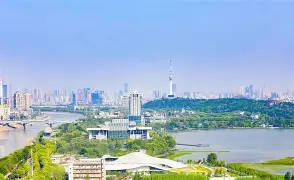 包含武汉三镇主帅放话：乒超联赛四强战必胜利物浦，伊藤美诚冷笑回应的词条